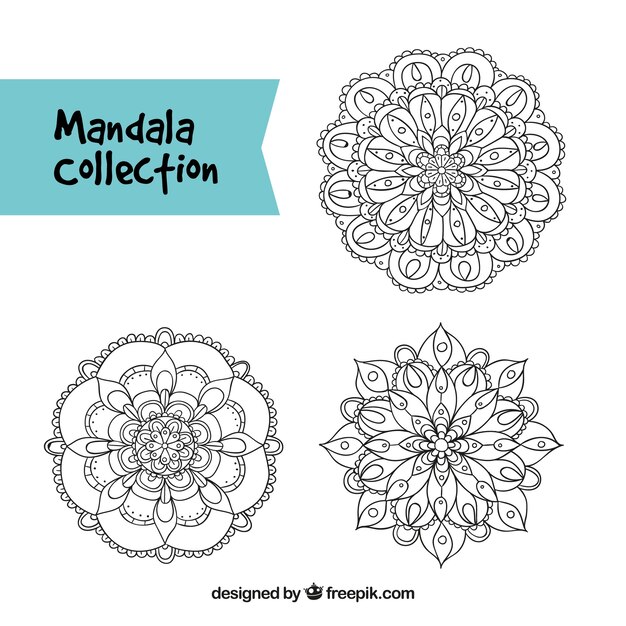 Set de mandalas dibujados a mano 