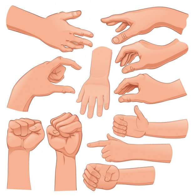 Set de manos humanas