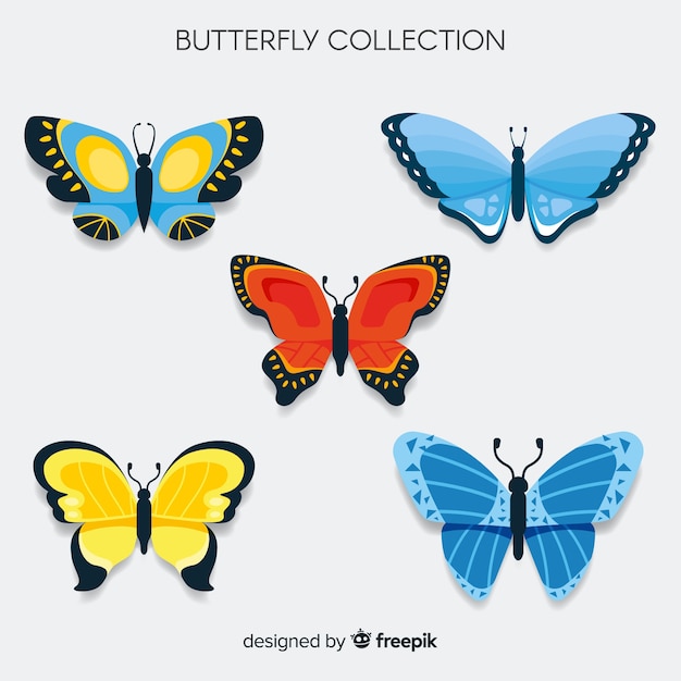 Set mariposas coloridas