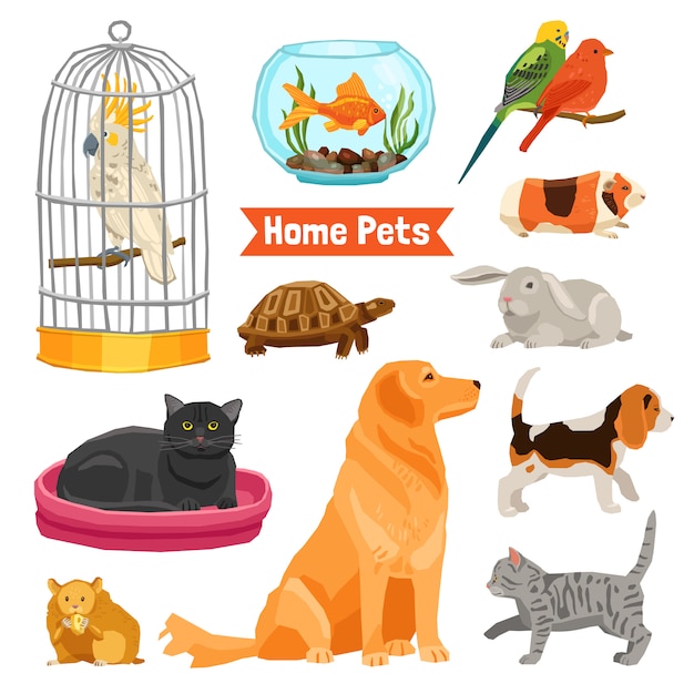 Vector gratuito set de mascotas para el hogar
