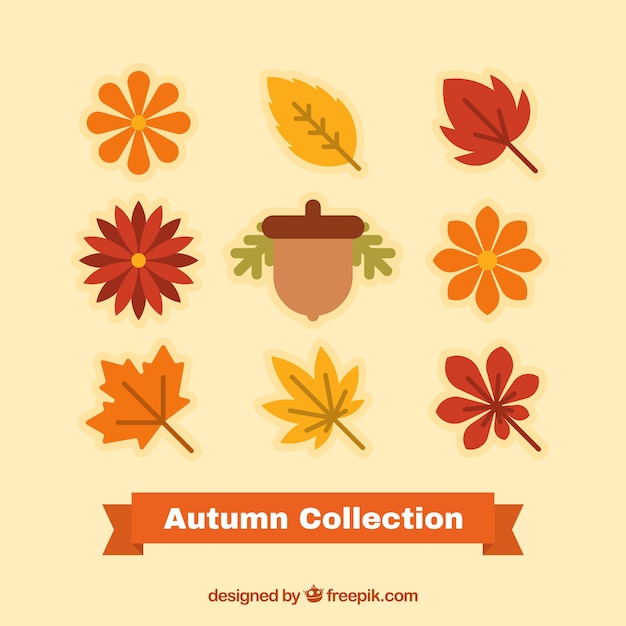 Vector gratuito set de naturaleza de otoño en diseño plano