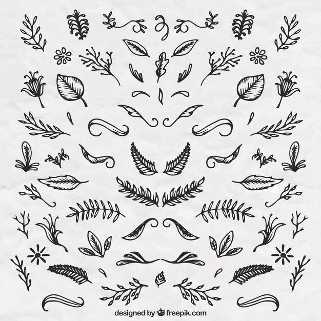 Set de ornamentos florales dibujados a mano