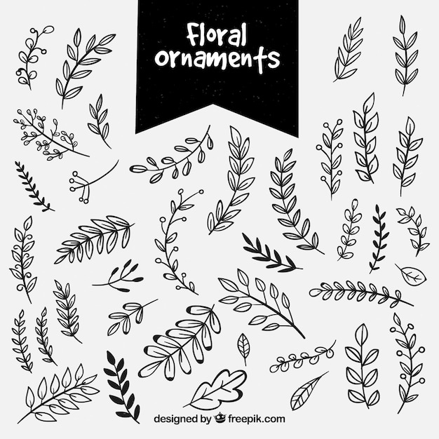 Vector gratuito set de ornamentos vintage florales dibujados a mano