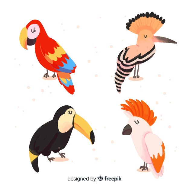 Set de pájaro exótico en acuarela