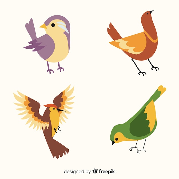 Vector gratuito set de pájaros dibujados