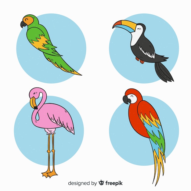 Vector gratuito set de pájaros exóticos dibujados