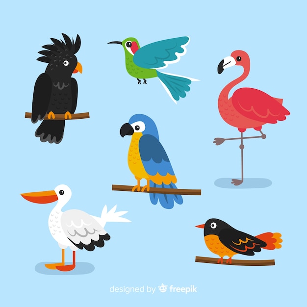 Vector gratuito set de pájaros exóticos