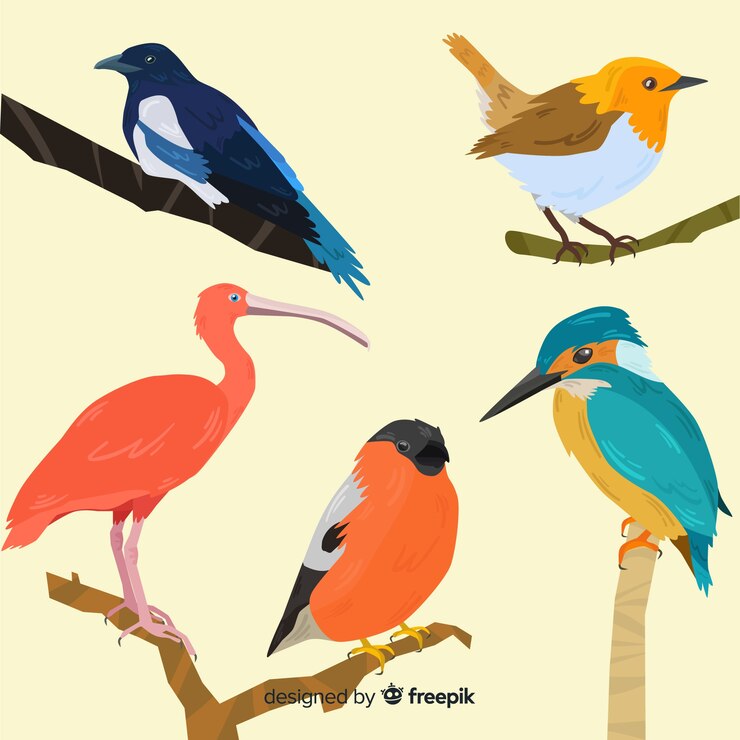 Vector gratuito set de pájaros exóticos