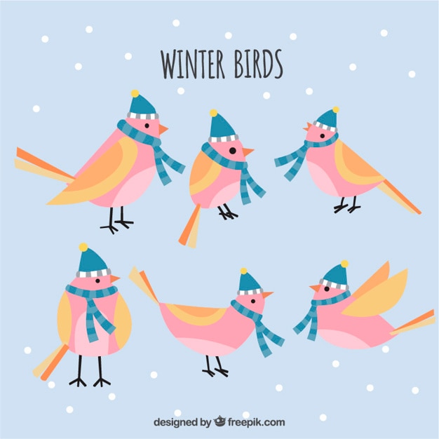 Set de pájaros con gorro y bufanda 