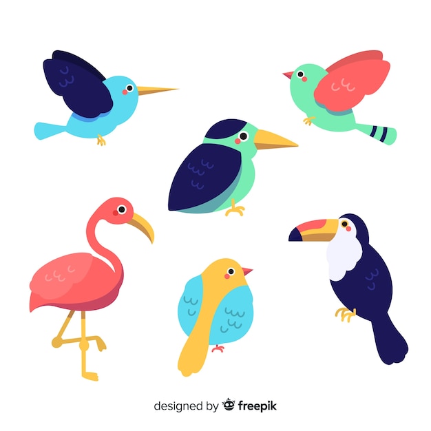 Set de pájaros tropicales dibujados