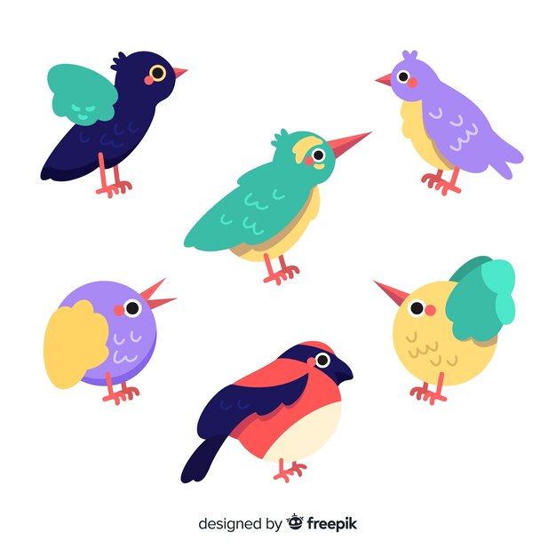 Set de pájaros tropicales dibujados