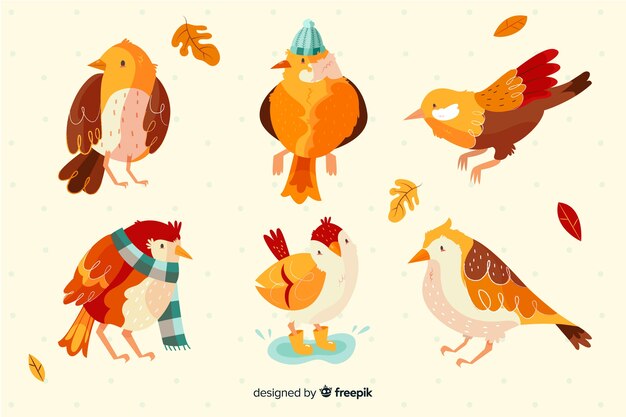 Set de pájaros tropicales dibujados