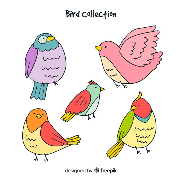 Set de pájaros