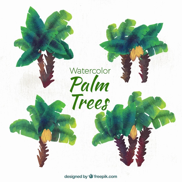 Vector gratuito set de palmeras de acuarela