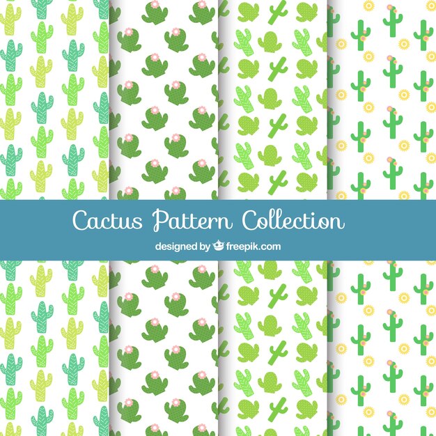 Set de patrones bonitos de cactus 