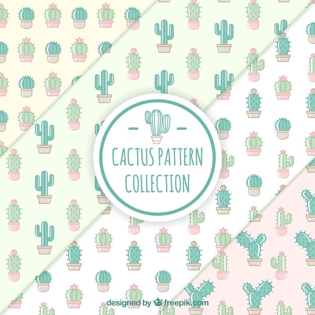 Set de patrones bonitos de cactus 