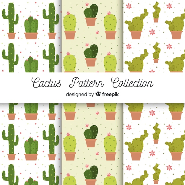 Vector gratuito set patrones cactus dibujado a mano