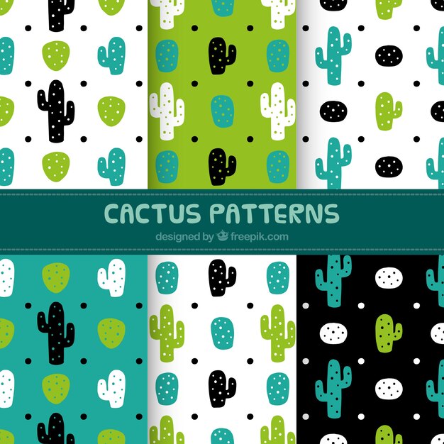 Set de patrones decorativos de cactus dibujados a mano 