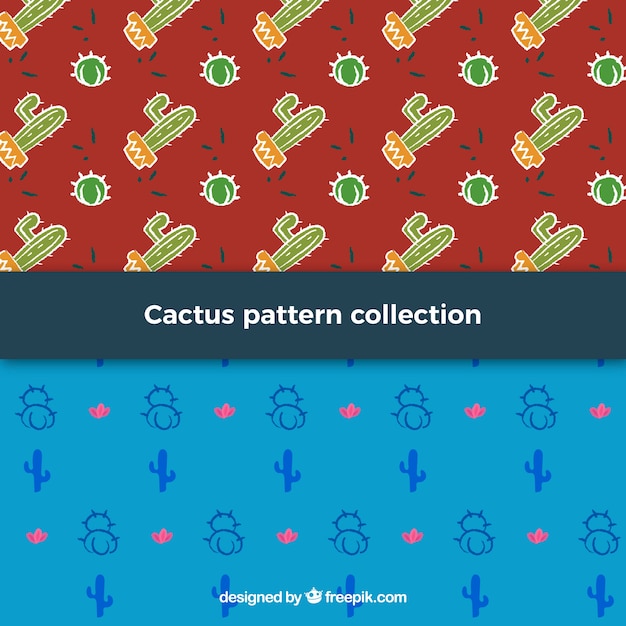 Vector gratuito set de patrones decorativos de cactus