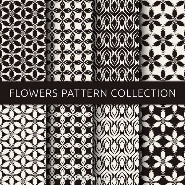Set de patrones de flores en blanco y negro