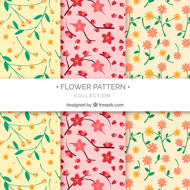 Set de patrones de flores coloridas en estilo plano
