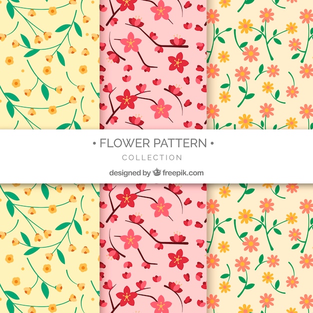 Vector gratuito set de patrones de flores coloridas en estilo plano