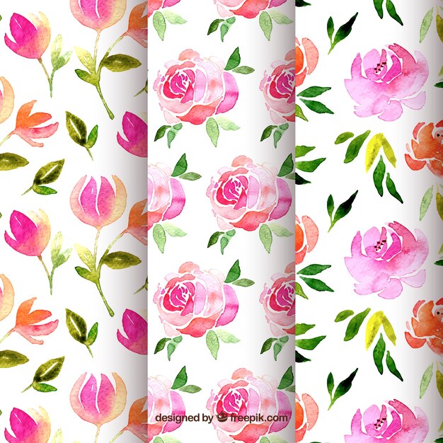 Set de patrones de flores en estilo acuarela