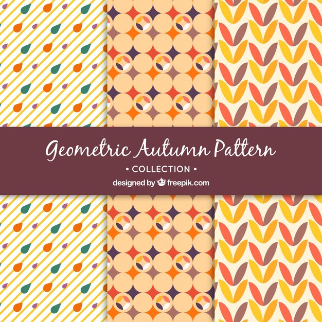 Set de patrones geométricos decorativos de otoño