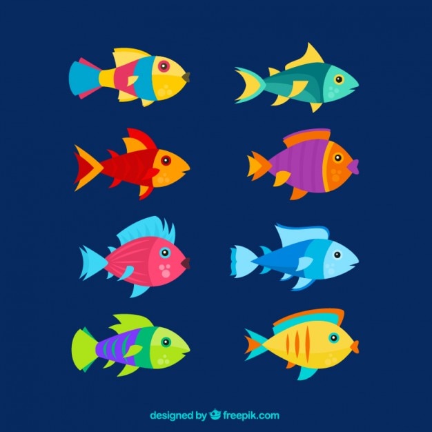 Set de peces coloridos planos
