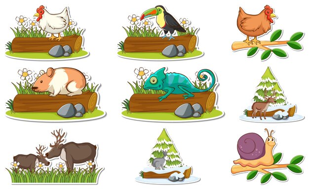 Set de pegatinas con diferentes animales salvajes y elementos de la naturaleza.
