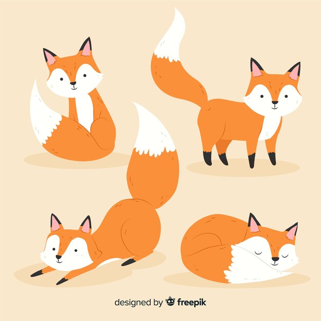 Set de pequeños zorros adorables