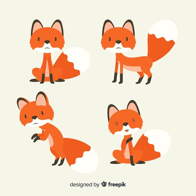Set de pequeños zorros adorables