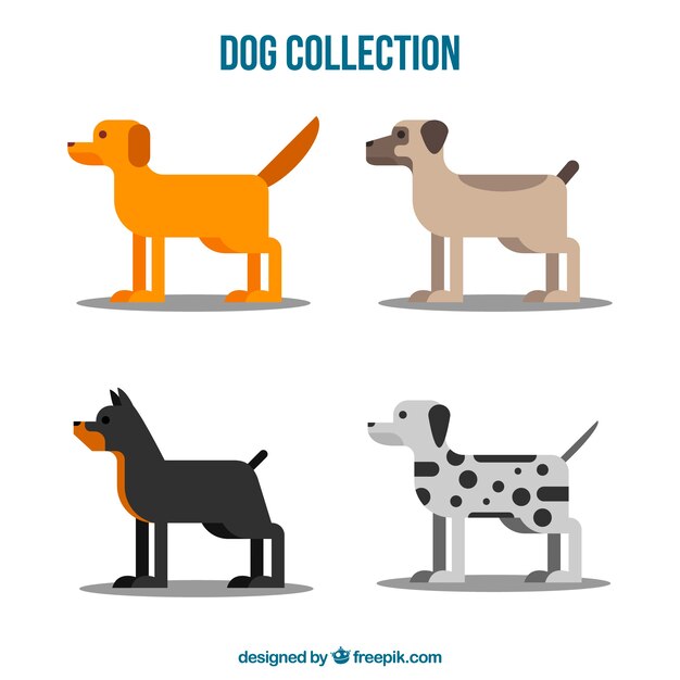 Set de perros de perfil en diseño plano