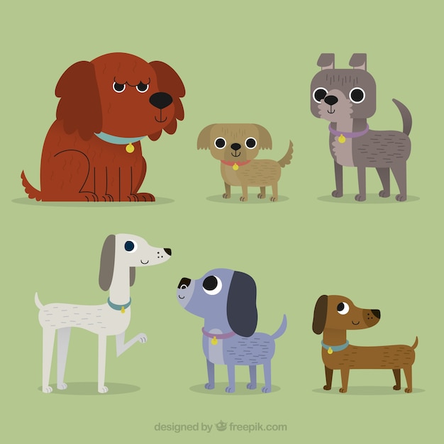 Vector gratuito set de perros planos