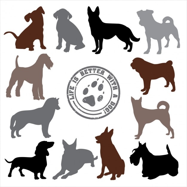 Set de perros