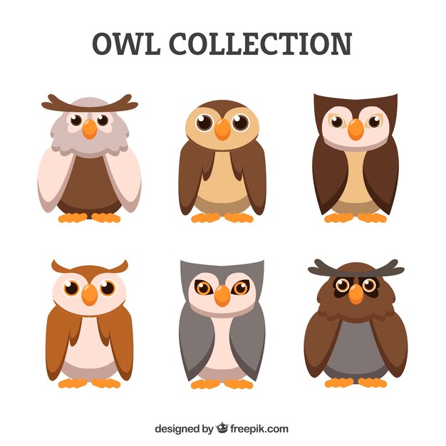 Set de personajes de búhos 