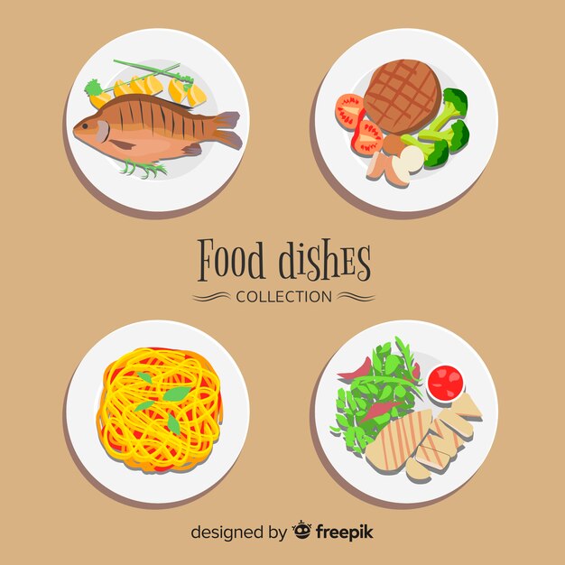 Set de platos de comida