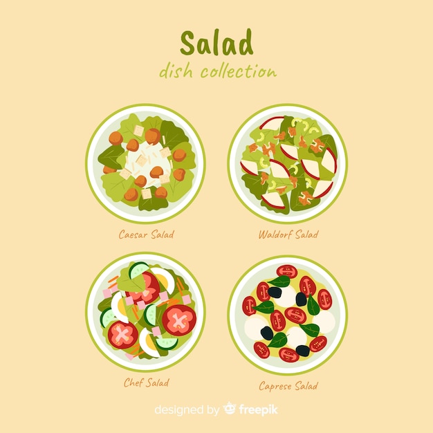 Set de platos de comida