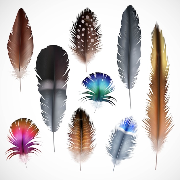 Vector gratuito set de plumas realistas