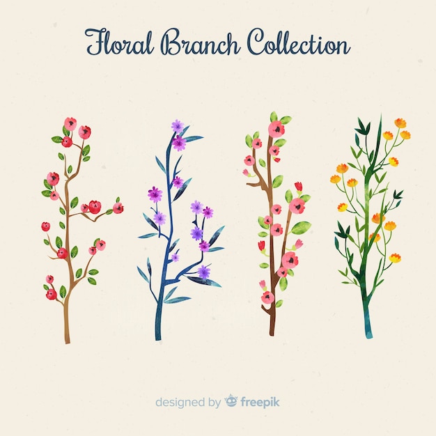 Vector gratuito set de ramas florales