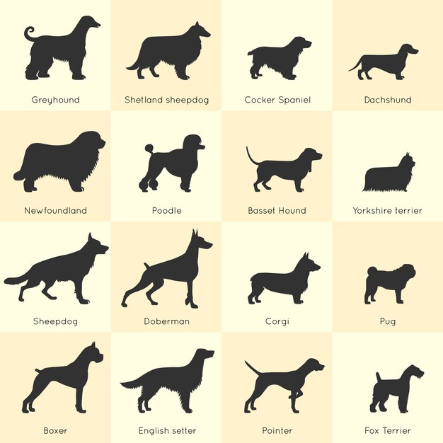 Set de razas de perros