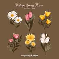 Vector gratuito set retro de flores de primavera