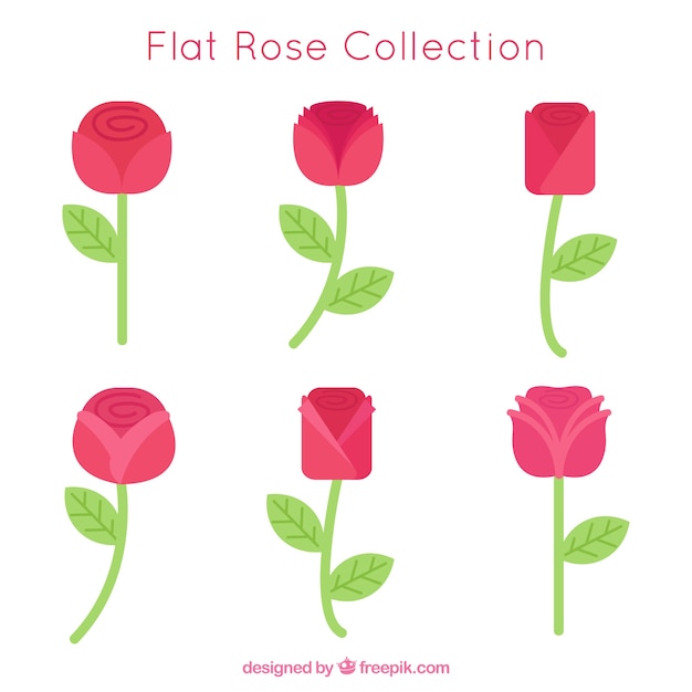 Vector gratuito set de rosas en diseño plano