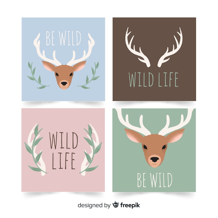 Vector gratuito set de tarjetas dibujadas de animales salvajes