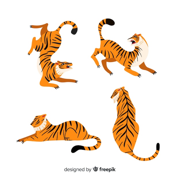 Set de tigres en diferentes posiciones, estilo cartoon