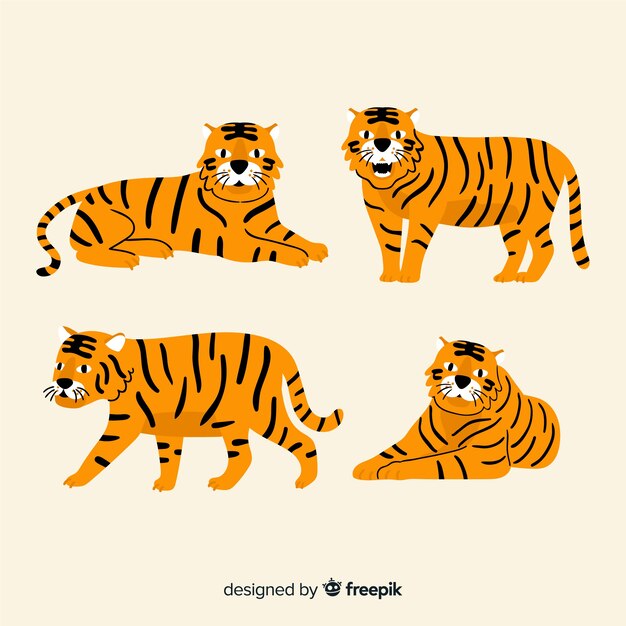 Set de tigres salvajes dibujados