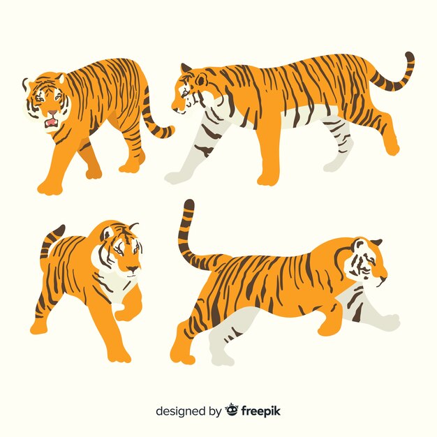 Set de tigres salvajes dibujados