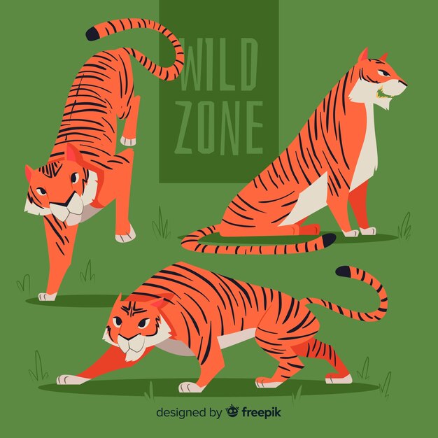 Set de tigres salvajes dibujados