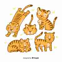Vector gratuito set de tigres salvajes dibujados