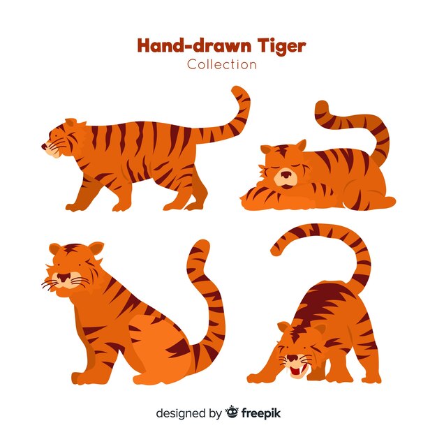 Set de tigres salvajes dibujados